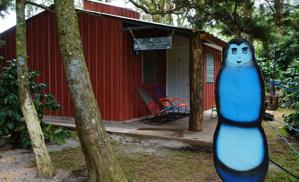 La Casita del Bosque